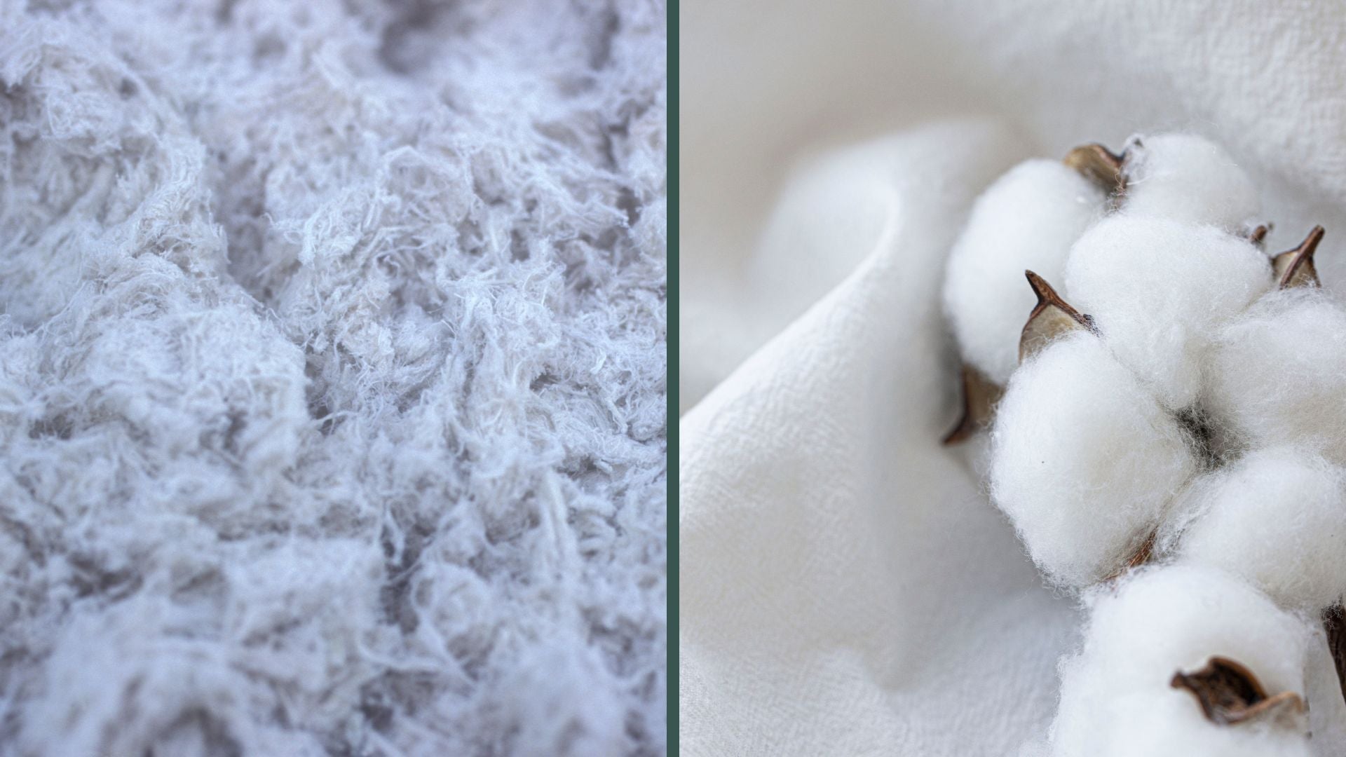 Bambou VS Coton Image